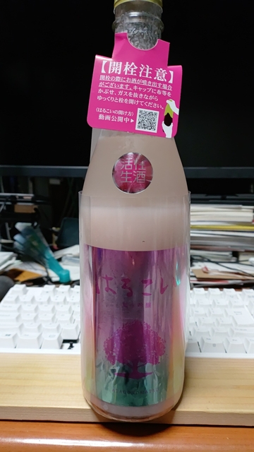 KIMG20240301_220236.jpg