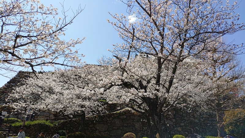 KIMG20250404_133158.jpg