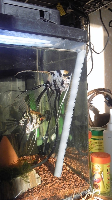 101026_0710~01.jpg 101026_0710~01.jpg