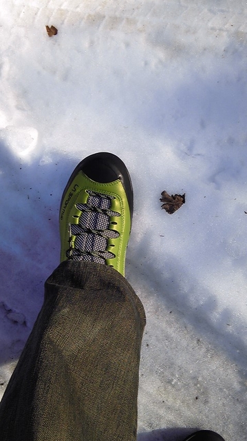 110122_1420~01.jpg 110122_1420~01.jpg