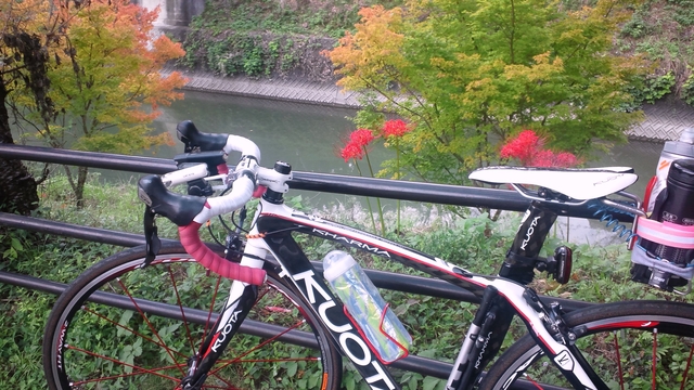 DSC_0647.JPG DSC_0647.JPG