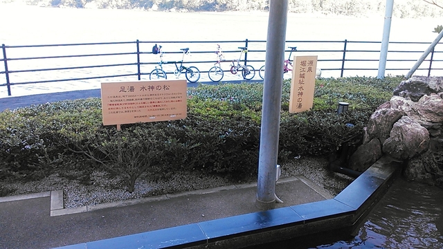 NCM_0174.JPG NCM_0174.JPG