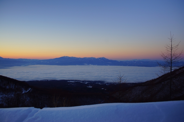 DSC00863.JPG DSC00863.JPG