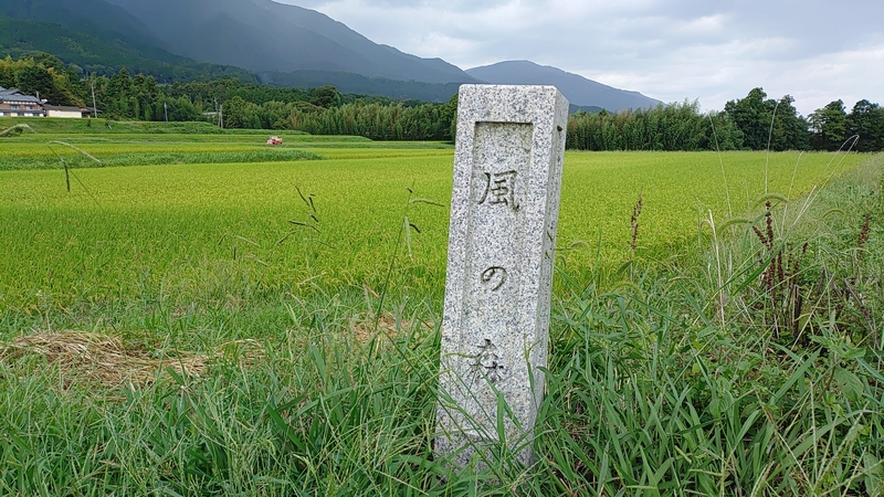 KIMG20250914_130328.jpg KIMG20250914_130328.jpg